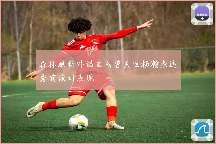 森林狼新帅诺里或曾关注杨瀚森选秀前试训表现